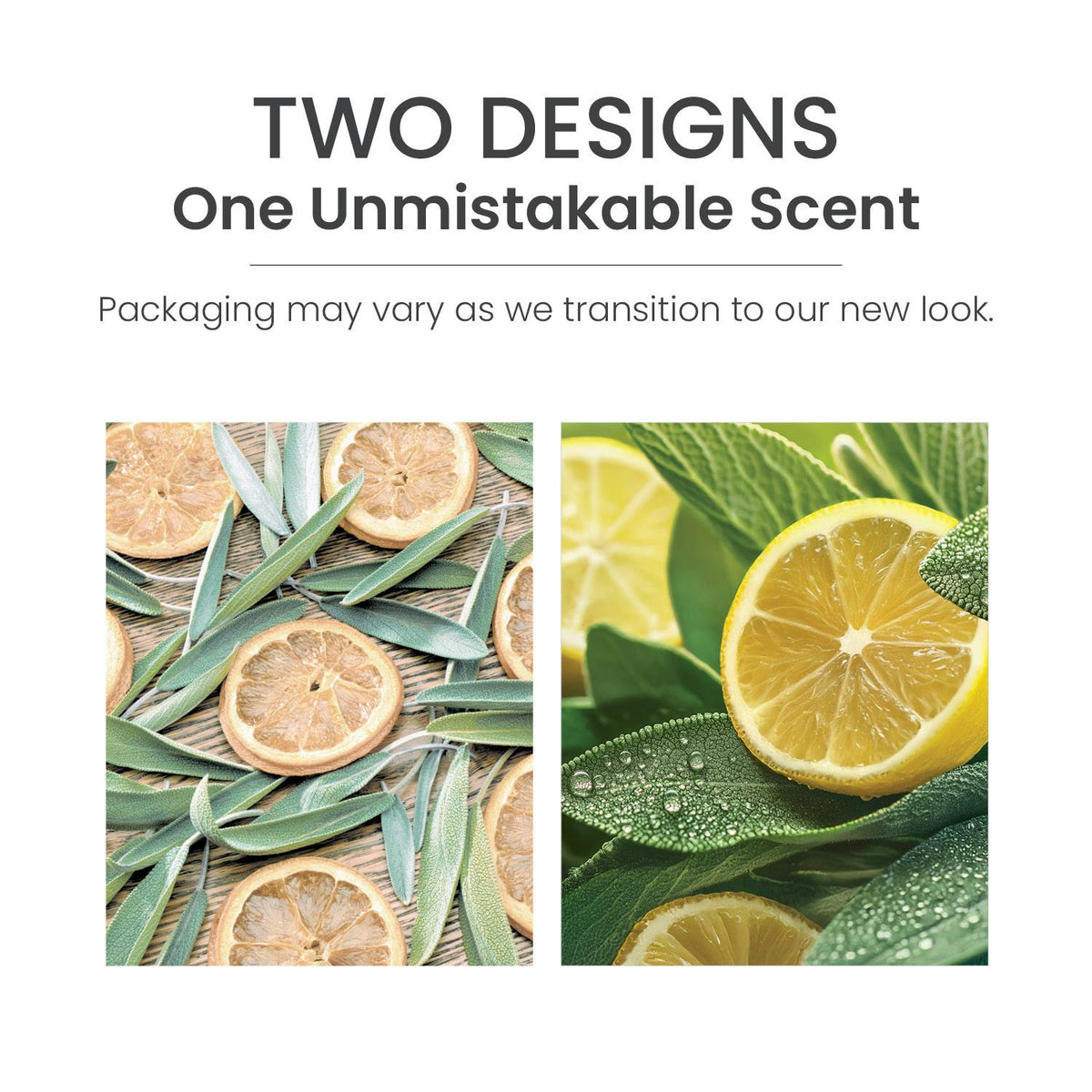 Sage & Citrus
